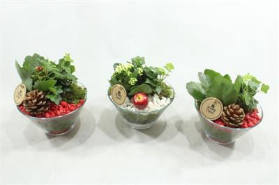 <h4>6157 PINDASCHAALTJE ROOD/WIT</h4>