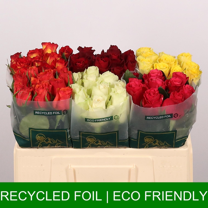 <h4>R GR GEM IN FUST</h4>