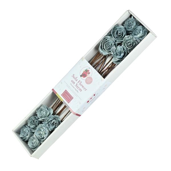 <h4>Sola Cabbage Rose 6cm O/s 12pc Light Blue Pastel</h4>