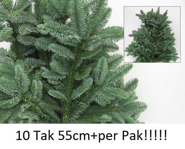 <h4>ABIES NOBILIS BLAUW</h4>