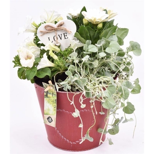 Zink pot rood met hart 18cm