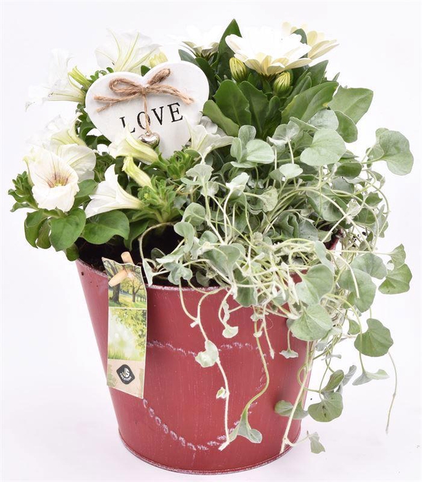 <h4>Zink pot rood met hart 18cm</h4>