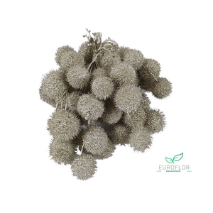 PLATAAN BALL PLATINA