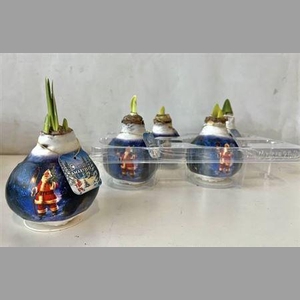 Bloembol Hipp Santa Edition