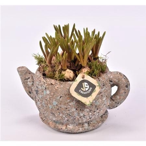 Muscari 21008 Cement Theepot