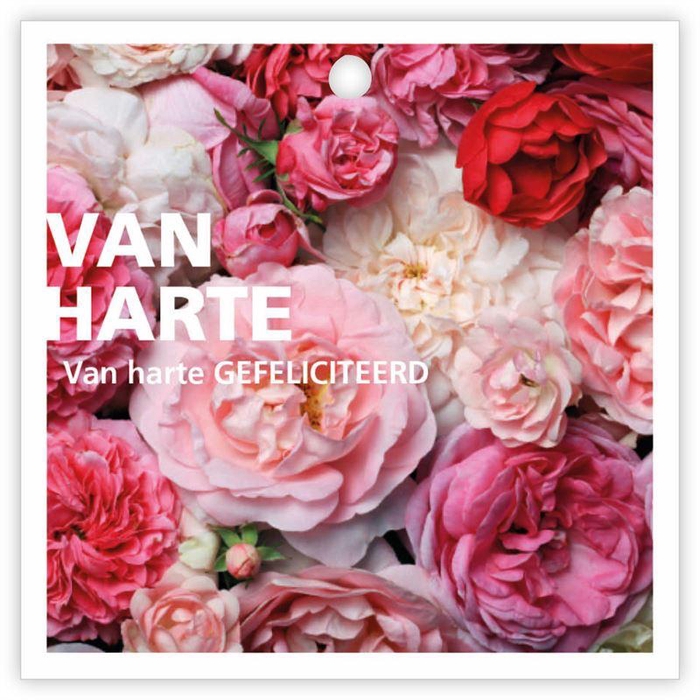 <h4>Kadokaartjes Basics a 12 stuks Van</h4>