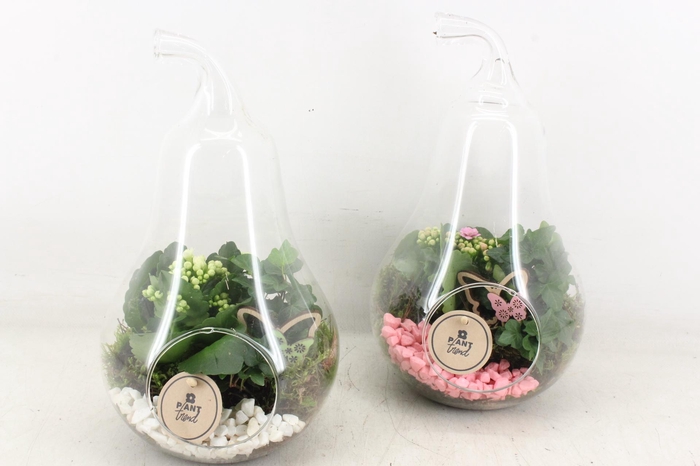 <h4>arr2 PL - Glazen peer x6 - roze/wit</h4>