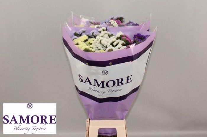 <h4>LIMONIUM SINUATUM   ...MIX</h4>