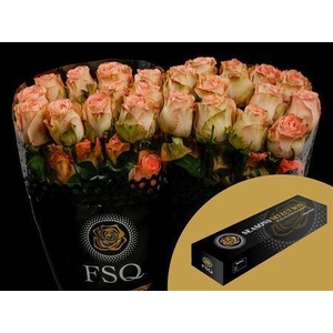 R Gr Country Home Box