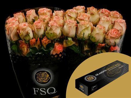 <h4>R Gr Country Home Box</h4>