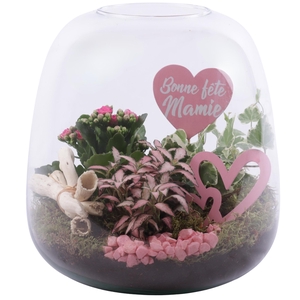 Grandmothers Day Arr. Indoor Glass Vase Terrarium Round Ø23cm 3P