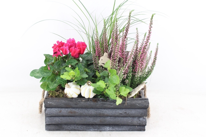 <h4>arr4 Outdoor VL - Hout grijs latjes rechth. x3</h4>