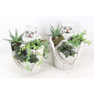 arr3 SN - Hill top house/garden