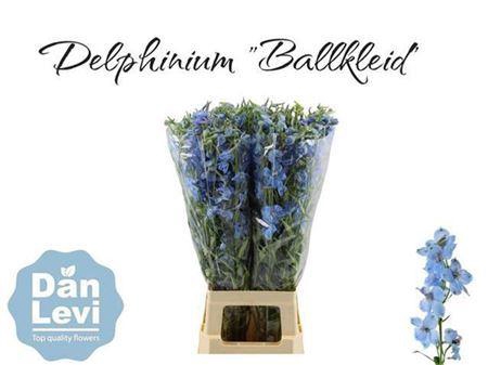 <h4>Delph En Ballkleid Pale Blue</h4>