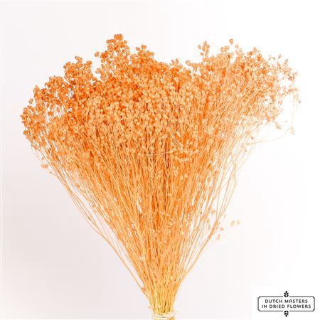 <h4>Dried Brooms Salmon Bunch</h4>