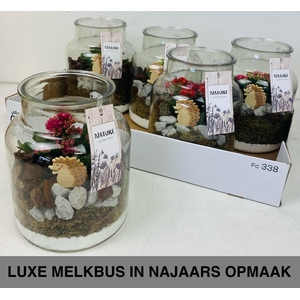 ARR KAMERPL