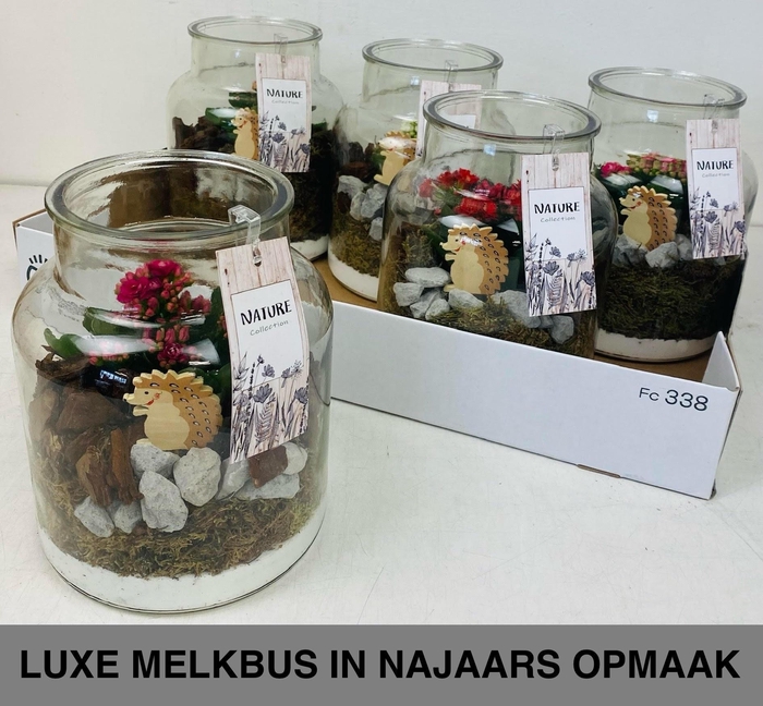 <h4>ARR KAMERPL</h4>