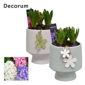 Hyacint Pot sur Pied HL14963 [PURE]