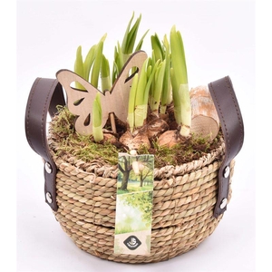 Touw mand met leerhandvat 18cm