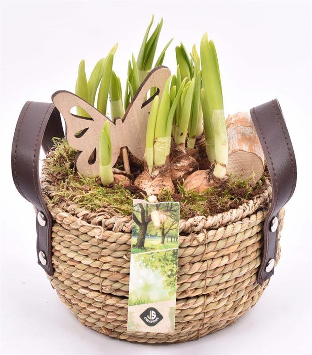 <h4>Touw mand met leerhandvat 18cm</h4>