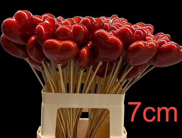 <h4>Z ARR HARTJE OP STOK 7CM</h4>