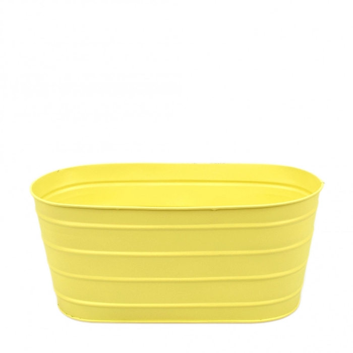 <h4>Sale Bodhi planter 30*13.5*13.5cm</h4>