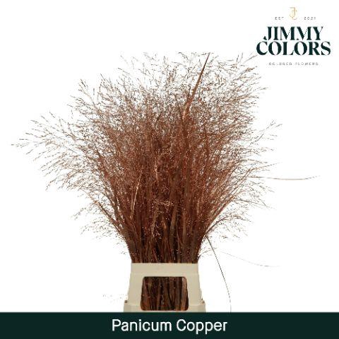 <h4>Siergras L90 Mtlc. Koper</h4>