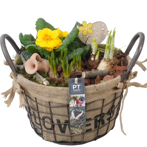 <h4>PTBM3201 Arrangementen Tuinplanten</h4>