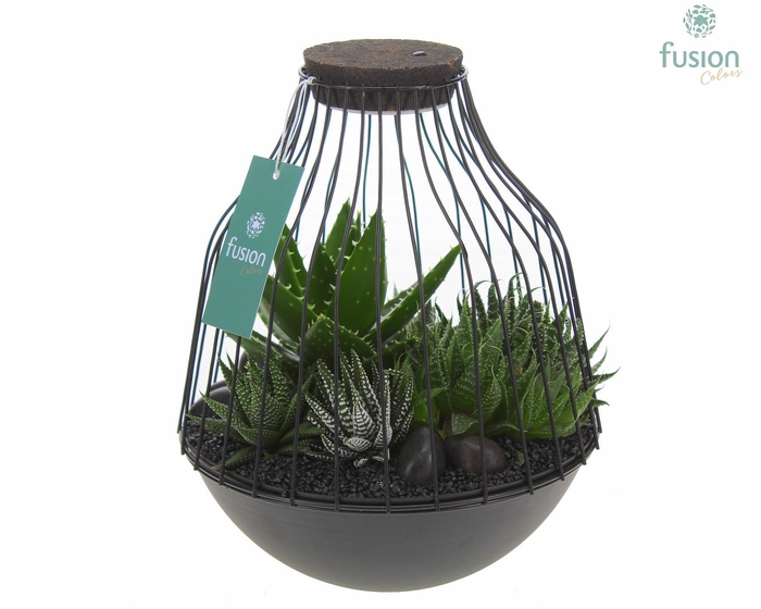 <h4>Vogelkooi metaal zwart Large LED met Succulenten</h4>