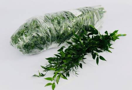 Leaf ruscus italia per bag