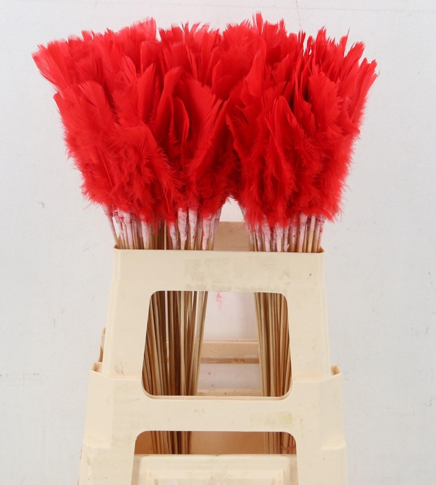 <h4>HUIS EN TUINDECO H%</h4>