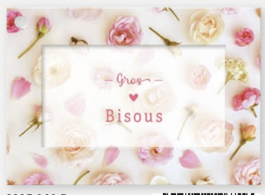 <h4>Gros bisous (1117266F)</h4>