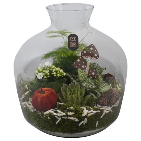 <h4>PTHG8237 Arrangement Autumn Glass in glazen terrarium</h4>