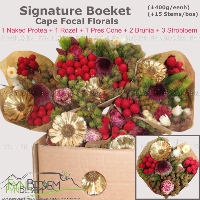 <h4>PROTEA PER BOS</h4>