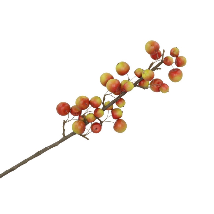 <h4>Silk Apple Sentinel Red/green 66cm Nm</h4>