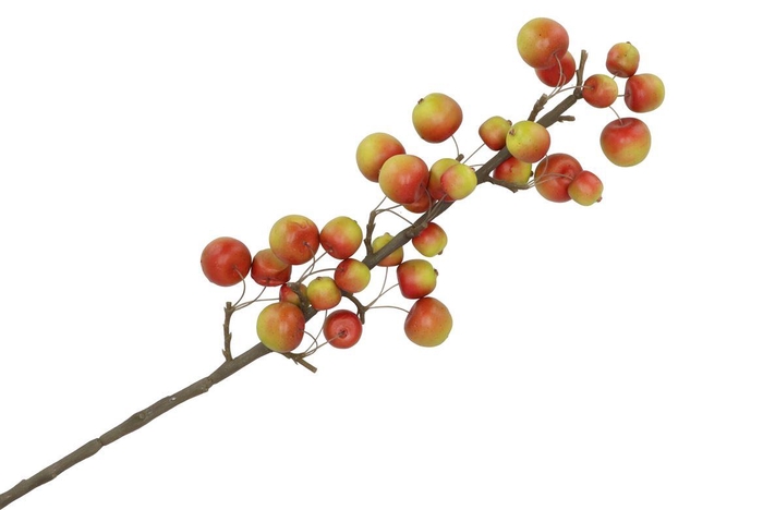 <h4>Silk Apple Sentinel Red/green 66cm Nm</h4>