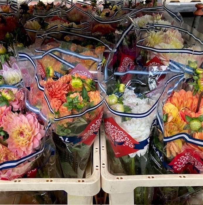 <h4>DAHL GEM IN FUST</h4>