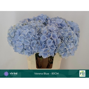 HYDR M CH VERENA BL