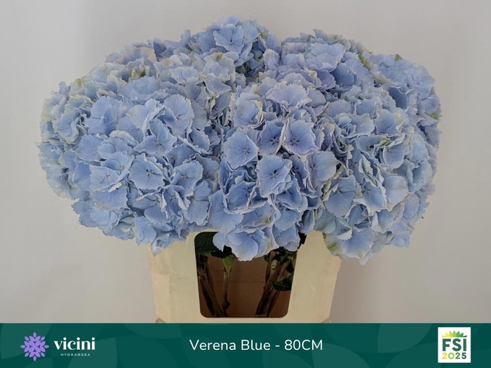 <h4>HYDR M CH VERENA BL</h4>
