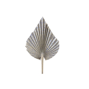 Dried Artz Palm Spear Xl Matisse P Stem