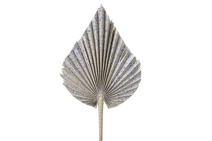 <h4>Dried Artz Palm Spear Xl Matisse P Stem</h4>