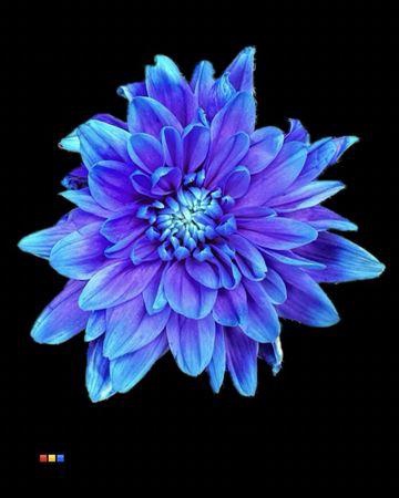 <h4>Chr T 2 Kl Baltica Blue Lagoon</h4>