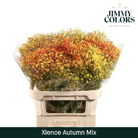<h4>Gyps Xlence L80 Autumn Mix</h4>