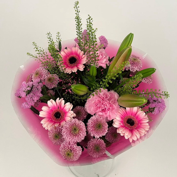 <h4>Bq Volume Voltage Pink M</h4>