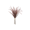 SEMENTE DE DRACENA 050 CM VERMELHO