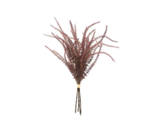 SEMENTE DE DRACENA 050 CM VERMELHO