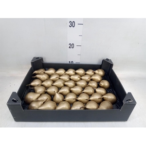 Decoratieve materialen   ...H%