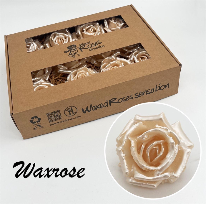 <h4>Zijde R Wx Pearl Parel Wit</h4>