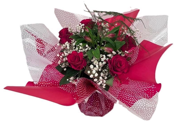 <h4>Bq Love bulle red</h4>