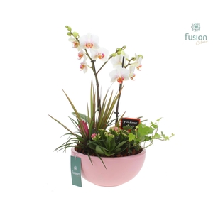 Moonschaal Love soft pink Large FC22.0703